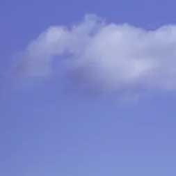 フィルム（普通糊）のシート見本