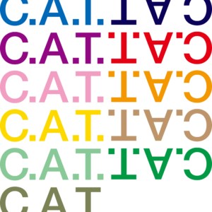 design　DTFアイロンプリントシート (W274.4mm × H393mm)×3枚